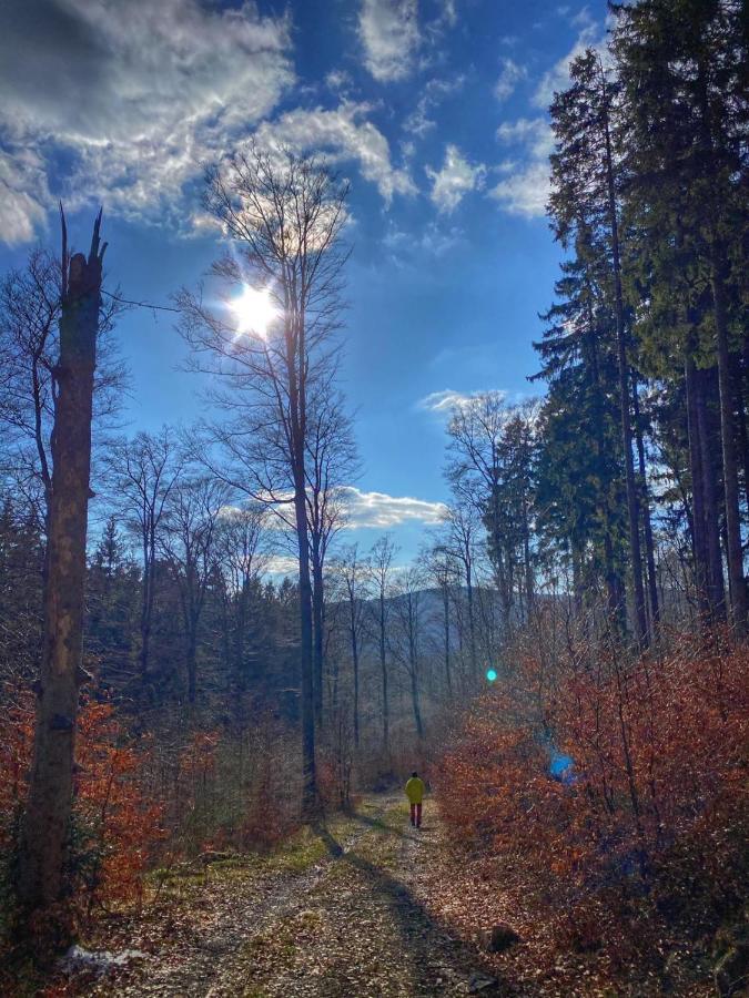 17 Am Berg * Winterberg